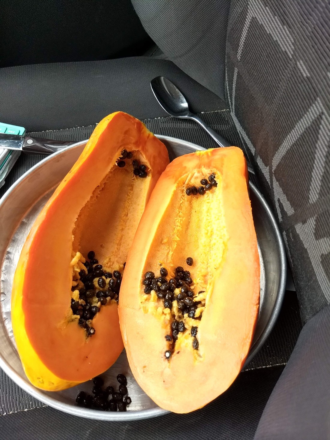 img_20180818_095506415_hdr